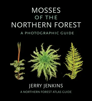 Mchy lasów północnych: Przewodnik fotograficzny - Mosses of the Northern Forest: A Photographic Guide