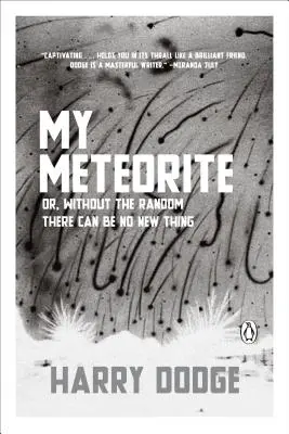 Mój meteoryt: Or, Without the Random There Can Be No New Thing (Albo bez losowości nie może być nowej rzeczy) - My Meteorite: Or, Without the Random There Can Be No New Thing