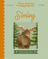 Sterling - zakochany łoś z sercem dla krów - Sterling - The lovestruck moose with a heart for cows