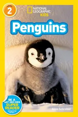 National Geographic Readers: Pingwiny! - National Geographic Readers: Penguins!