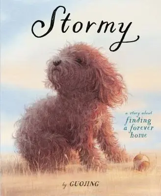 Stormy: Historia o znalezieniu domu na zawsze - Stormy: A Story about Finding a Forever Home