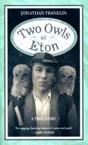 Dwie sowy w Eton - Two Owls at Eton