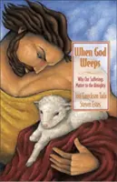 Kiedy Bóg płacze: Dlaczego nasze cierpienia mają znaczenie dla Wszechmogącego? - When God Weeps: Why Our Sufferings Matter to the Almighty