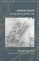 Homo Sacer: suwerenna władza i nagie życie - Homo Sacer Sovereign Power and Bare Life