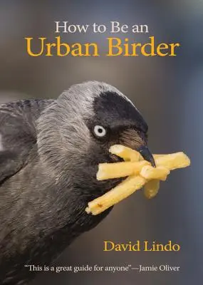 Jak zostać miejskim ptasznikiem - How to Be an Urban Birder