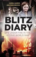 Blitz Diary: Życie pod ostrzałem podczas drugiej wojny światowej - Blitz Diary: Life Under Fire in the Second World War