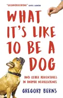 Jak to jest być psem - i inne przygody z neuronauką zwierząt - What It's Like to Be a Dog - And Other Adventures in Animal Neuroscience