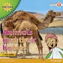 My Gulf World and Me Level 2 non-fiction reader: Zwierzęta i ich dzieci - My Gulf World and Me Level 2 non-fiction reader: Animals and their babies
