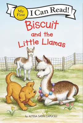 Biszkopt i małe lamy - Biscuit and the Little Llamas
