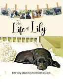 Życie Lily - The Life of Lily