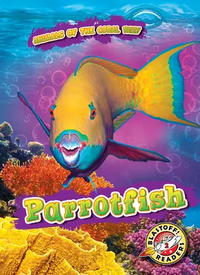 Papugoryba - Parrotfish