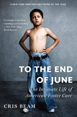 Do końca czerwca: Intymne życie amerykańskiej opieki zastępczej - To the End of June: The Intimate Life of American Foster Care