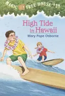 Przypływ na Hawajach - High Tide in Hawaii