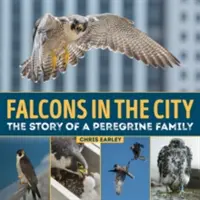 Sokoły w mieście: Historia rodziny Peregine - Falcons in the City: The Story of a Peregine Family