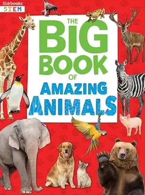 Wielka księga niesamowitych zwierząt - Big Book of Amazing Animals