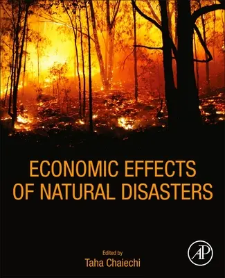 Ekonomiczne skutki klęsk żywiołowych: Podstawy teoretyczne, metody i narzędzia - Economic Effects of Natural Disasters: Theoretical Foundations, Methods, and Tools