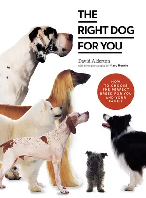 Odpowiedni pies dla ciebie: Jak wybrać idealną rasę dla siebie i swojej rodziny? - The Right Dog for You: How to Choose the Perfect Breed for You and Your Family