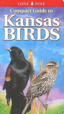 Kompaktowy przewodnik po ptakach Kansas - Compact Guide to Kansas Birds