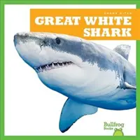 Żarłacz biały - Great White Shark