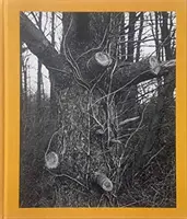 Tim Carpenter: Dzień Bożego Narodzenia, Bucks Pond Road - Tim Carpenter: Christmas Day, Bucks Pond Road