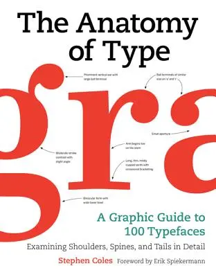 The Anatomy of Type: Graficzny przewodnik po 100 krojach pisma - The Anatomy of Type: A Graphic Guide to 100 Typefaces