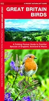 Great Britain Birds, 2nd Edition - Składany kieszonkowy przewodnik po znanych gatunkach Anglii, Szkocji i Walii - Great Britain Birds, 2nd Edition - A Folding Pocket Guide to Familiar Species of England, Scotland & Wales