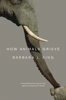 Jak zwierzęta przeżywają żałobę - How Animals Grieve