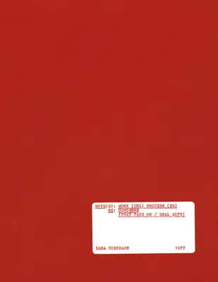 Dara Birnbaum: Notatki: Proces(y) pracy RE: Obawy (z którymi się mierzy) - Dara Birnbaum: Note(s): Work(ing) Process(es) RE: Concerns (That Take on / Deal With)