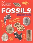 Skamieniałości Książka z naklejkami - Fossils Sticker Book