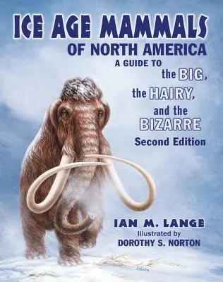 Ssaki Ameryki Północnej z epoki lodowcowej - Ice Age Mammals of North America