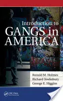Wprowadzenie do gangów w Ameryce - Introduction to Gangs in America