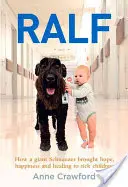 Ralf - Jak sznaucer olbrzym przyniósł chorym dzieciom nadzieję, szczęście i uzdrowienie - Ralf - How a Giant Schnauzer Brought Hope, Happiness and Healing to Sick Children
