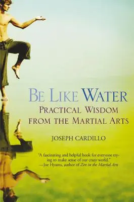 Bądź jak woda: Praktyczna mądrość ze sztuk walki - Be Like Water: Practical Wisdom from the Martial Arts