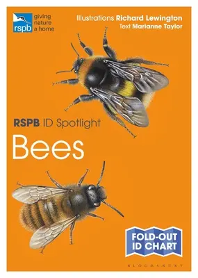 Rspb Id Spotlight - Pszczoły - Rspb Id Spotlight - Bees