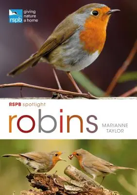 Rspb Spotlight: Rudziki - Rspb Spotlight: Robins