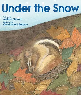 Pod śniegiem - Under the Snow