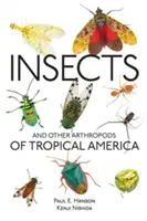 Owady i inne stawonogi Ameryki Tropikalnej - Insects and Other Arthropods of Tropical America