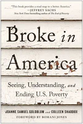 Broke in America: Zobaczyć, zrozumieć i położyć kres ubóstwu w USA - Broke in America: Seeing, Understanding, and Ending Us Poverty