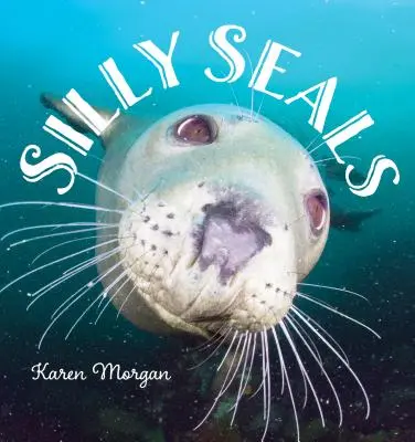 Głupie pieczęcie - Silly Seals