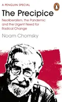 Przepaść - neoliberalizm, pandemia i pilna potrzeba radykalnej zmiany - Precipice - Neoliberalism, the Pandemic and the Urgent Need for Radical Change