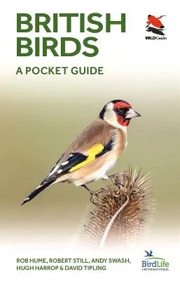 British Birds: Kieszonkowy przewodnik - British Birds: A Pocket Guide