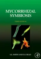Symbioza mikoryzowa - Mycorrhizal Symbiosis