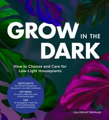 Rośnij w ciemności: jak wybrać i pielęgnować rośliny domowe o słabym oświetleniu - Grow in the Dark: How to Choose and Care for Low-Light Houseplants