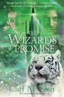 Wizard's Promise