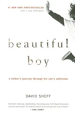 Beautiful Boy: Podróż ojca przez uzależnienie syna - Beautiful Boy: A Father's Journey Through His Son's Addiction