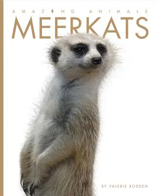 Niesamowite zwierzęta: Surykatki - Amazing Animals: Meerkats