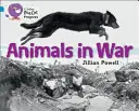 Zwierzęta na wojnie - Animals in War