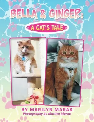 Bella & Ginger: kocia opowieść - Bella & Ginger: a Cat's Tale