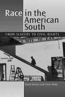 Rasa na amerykańskim Południu - od niewolnictwa do praw obywatelskich - Race in the American South - From Slavery to Civil Rights