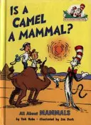 Czy wielbłąd jest ssakiem? - Is a Camel a Mammal?